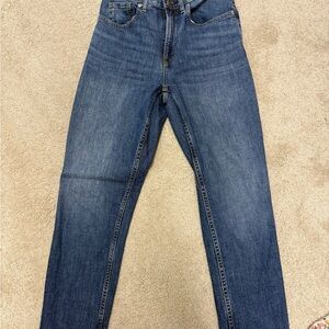 Everlane Cheeky Jeans